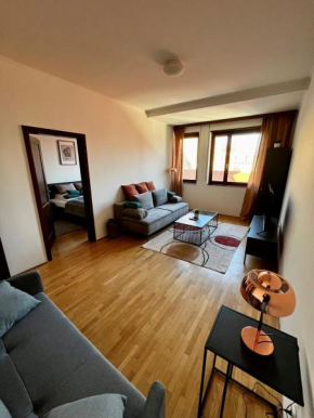 Friendly Home in the Downtown Budapest